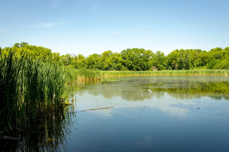 A large beautiful lake in Waukesha County, WI